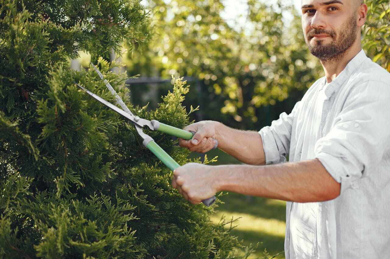  New Berlinville, PA TreeGuard Tree Service Pros